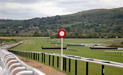 Cheltenham Gold Cup Preview, Tips, Runners & Trends (Chelten.